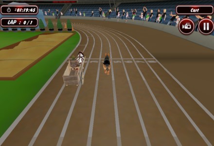 Crazy Dog Racing Fever / Fiebre de carreras de perros locos