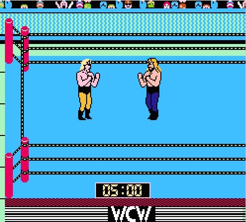 WCW World Championship Wrestling Video review